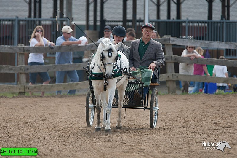 4H-1st-10-_1164.jpg
