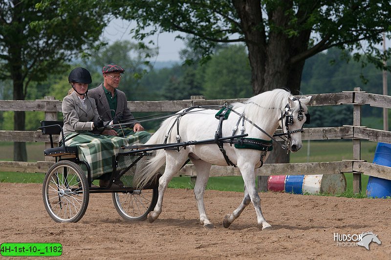 4H-1st-10-_1182.jpg