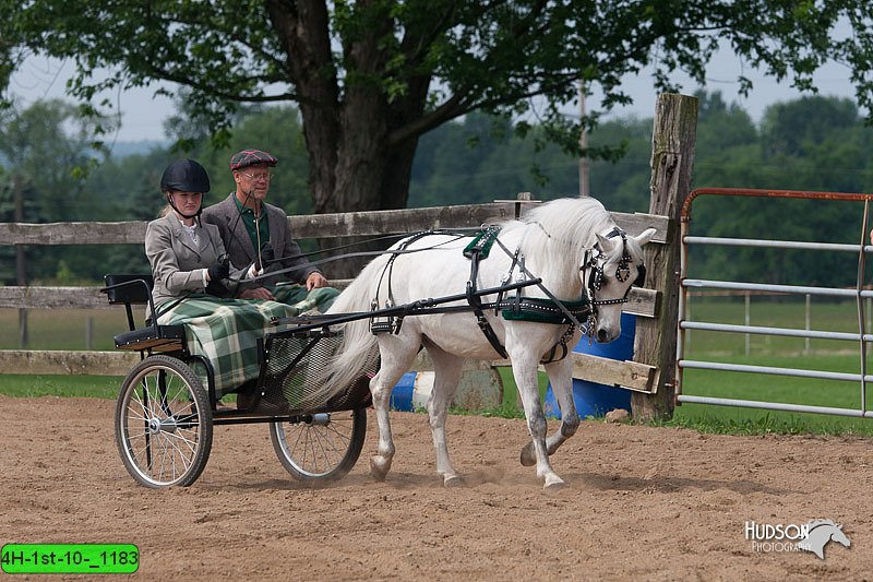 4H-1st-10-_1183.jpg