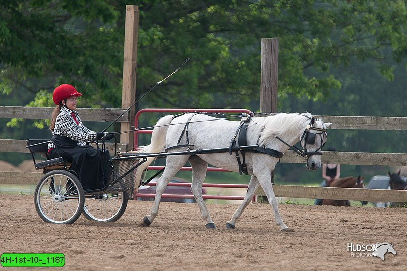 4H-1st-10-_1187.jpg