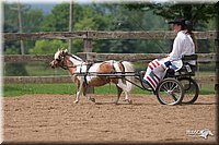 4H-1st-10-_1110.jpg