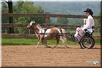4H-1st-10-_1112.jpg