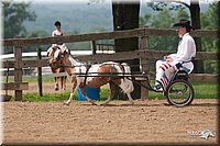 4H-1st-10-_1113.jpg