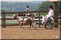 4H-1st-10-_1114.jpg