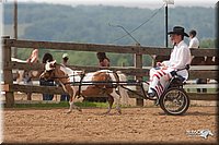 4H-1st-10-_1115.jpg