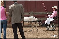4H-1st-10-_1119.jpg