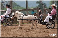 4H-1st-10-_1120.jpg