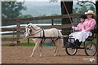4H-1st-10-_1124.jpg