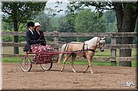 4H-1st-10-_1129.jpg