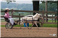 4H-1st-10-_1134.jpg