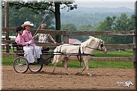 4H-1st-10-_1135.jpg