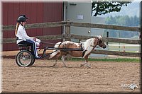 4H-1st-10-_1142.jpg