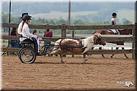 4H-1st-10-_1143.jpg