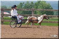 4H-1st-10-_1146.jpg