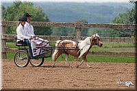 4H-1st-10-_1147.jpg