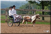 4H-1st-10-_1148.jpg