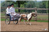 4H-1st-10-_1149.jpg