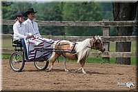 4H-1st-10-_1150.jpg