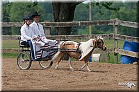 4H-1st-10-_1151.jpg