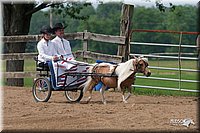 4H-1st-10-_1152.jpg