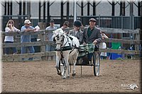 4H-1st-10-_1162.jpg