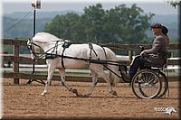 4H-1st-10-_1169.jpg