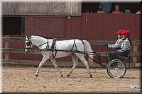 4H-1st-10-_1174.jpg