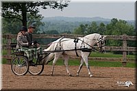 4H-1st-10-_1180.jpg