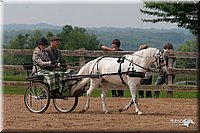 4H-1st-10-_1181.jpg