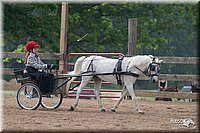 4H-1st-10-_1187.jpg