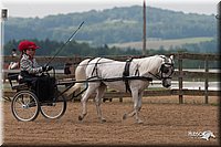4H-1st-10-_1188.jpg