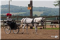 4H-1st-10-_1189.jpg