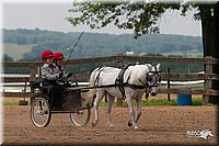 4H-1st-10-_1190.jpg
