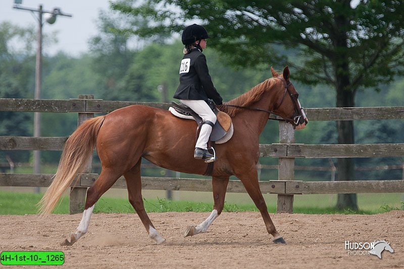 4H-1st-10-_1265.jpg