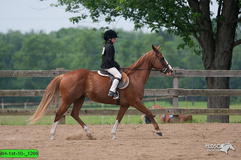 4H-1st-10-_1266.jpg