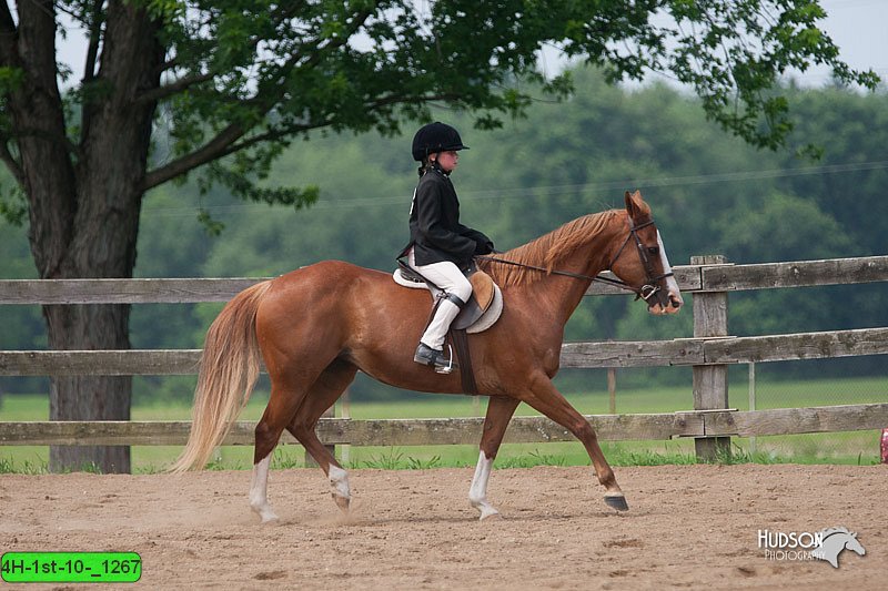 4H-1st-10-_1267.jpg