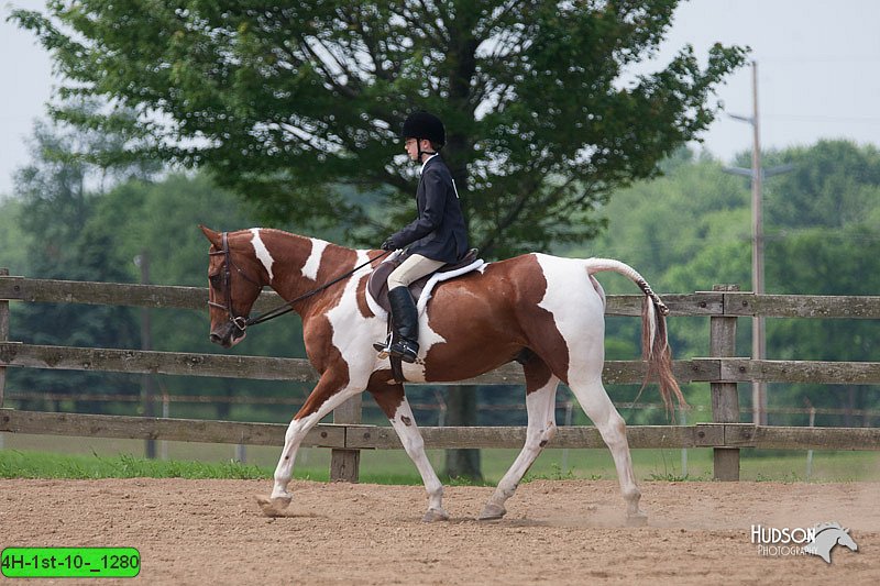 4H-1st-10-_1280.jpg