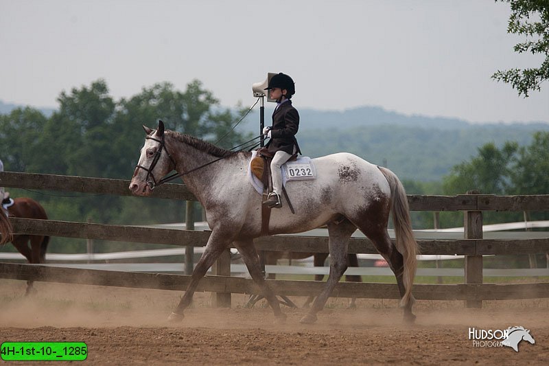 4H-1st-10-_1285.jpg