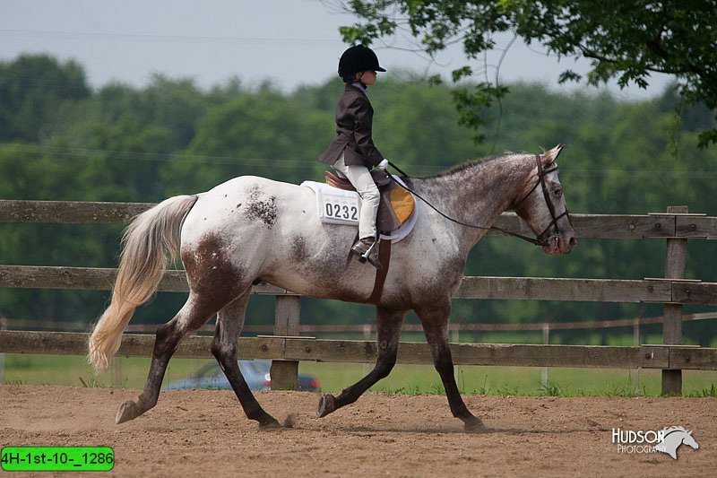 4H-1st-10-_1286.jpg