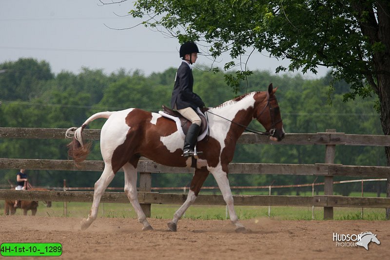 4H-1st-10-_1289.jpg