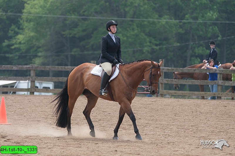 4H-1st-10-_1331.jpg