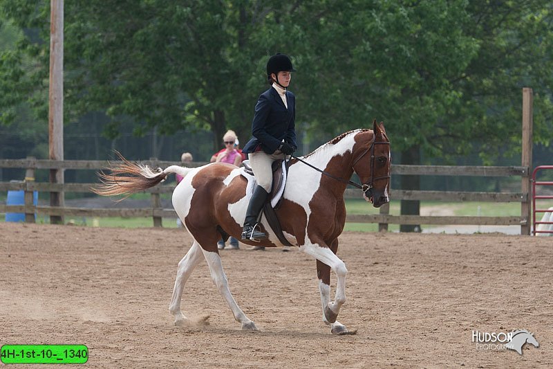 4H-1st-10-_1340.jpg