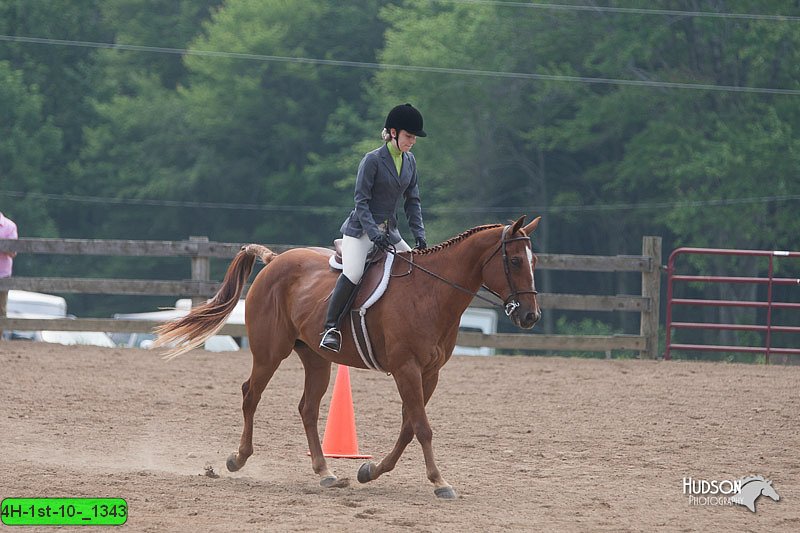 4H-1st-10-_1343.jpg
