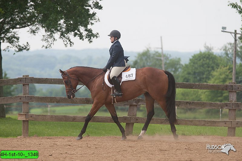 4H-1st-10-_1348.jpg