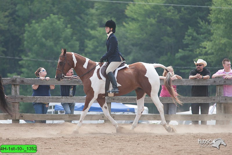 4H-1st-10-_1352.jpg