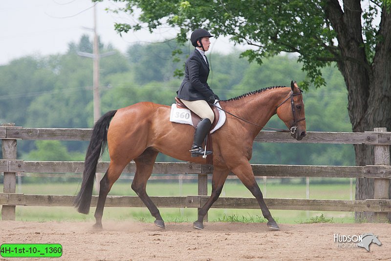 4H-1st-10-_1360.jpg