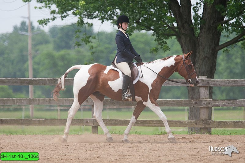 4H-1st-10-_1364.jpg