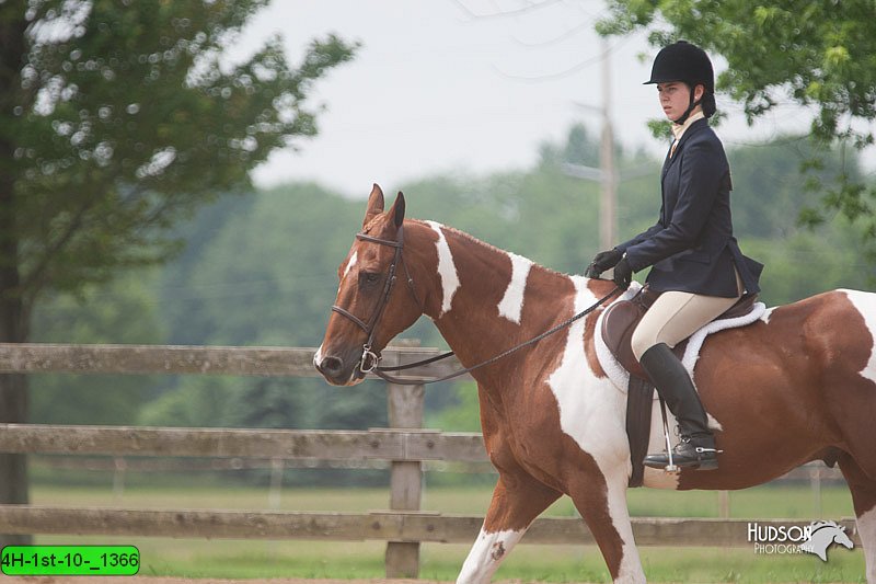 4H-1st-10-_1366.jpg