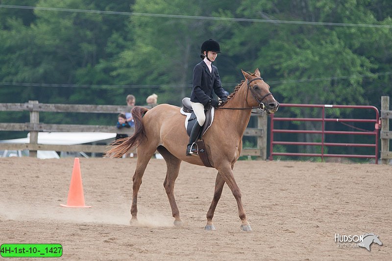 4H-1st-10-_1427.jpg