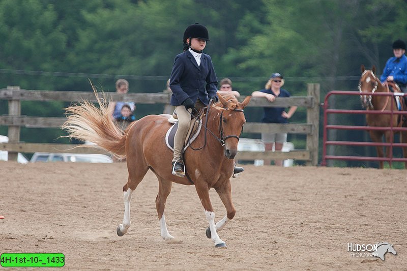 4H-1st-10-_1433.jpg